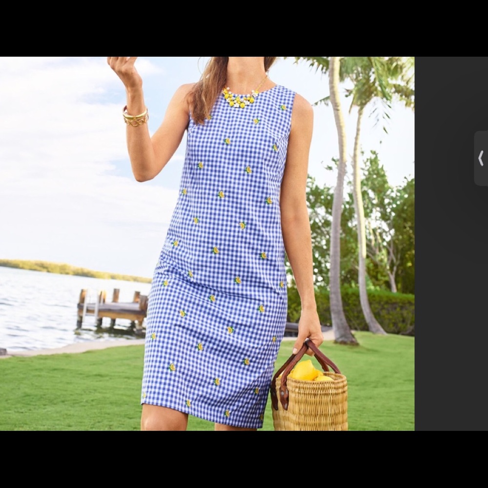 Talbots Lemon Dress